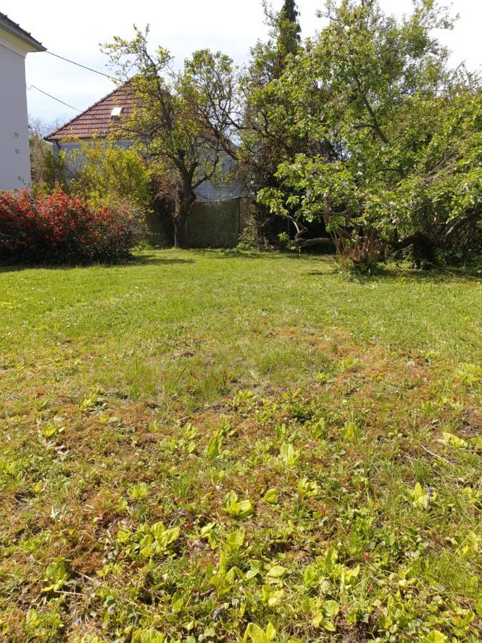 FAMILY APARTMENT LINZ Wohnen mit Garten am Fusse des Pöstlingbergs TOP LAGE Villenviertel Exterior foto